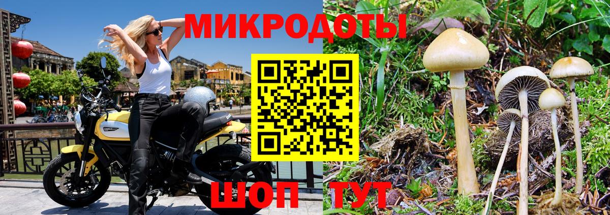 Псилоцибиновые грибы MAGIC MUSHROOMS Каспийск